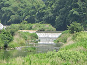 安威川を歩く